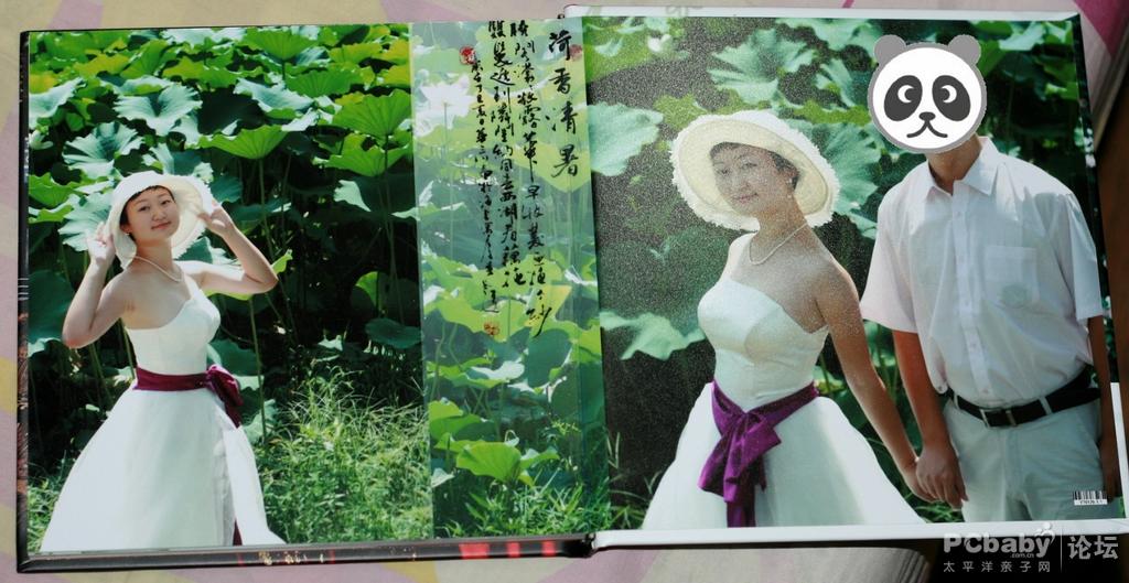 荷塘月色，哈哈，只能想想